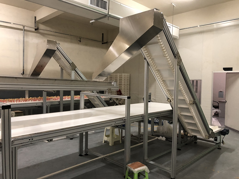3-食品输送线.JPG